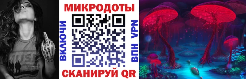 Галлюциногенные грибы GOLDEN TEACHER купить наркотик это наркотические препараты Славянск-на-Кубани