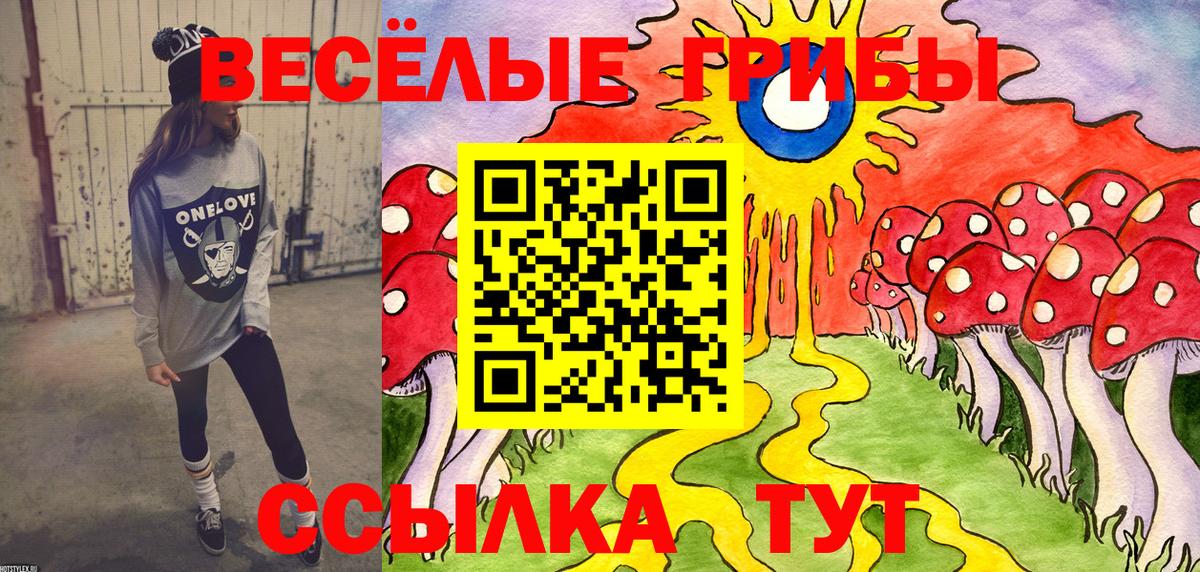 Псилоцибиновые грибы Magic Shrooms  Вход с VPN  Славянск-на-Кубани  купить  цена  Псилоцибиновые грибы мицелий 